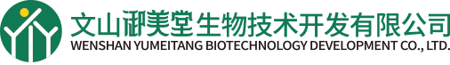 我的网站
